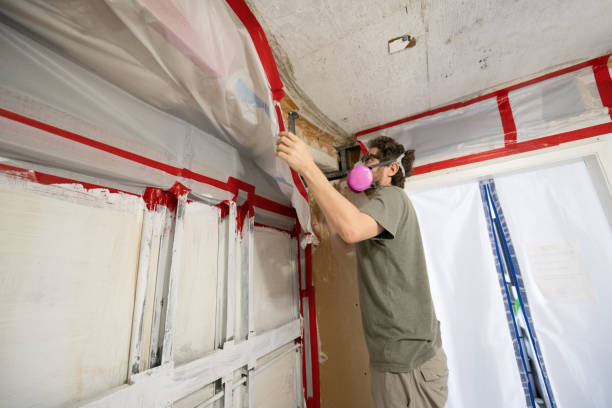 Best Commercial Mold Inspection  in Searles Valley, CA