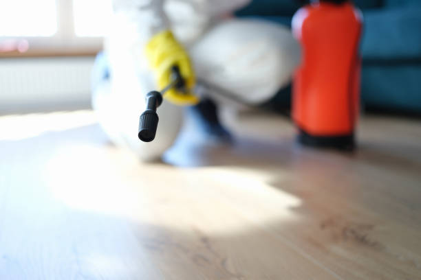 Best Mold Documentation for Insurance Claims  in Searles Valley, CA