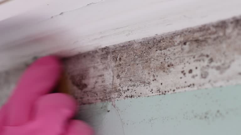 Best Dehumidification Services  in Searles Valley, CA